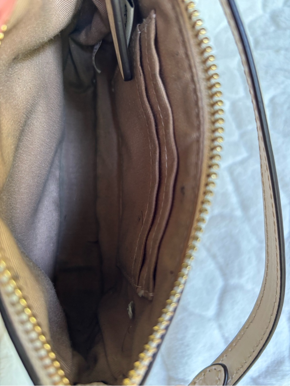 Coach Ornament Print Mini Bag - Picture 11 of 11